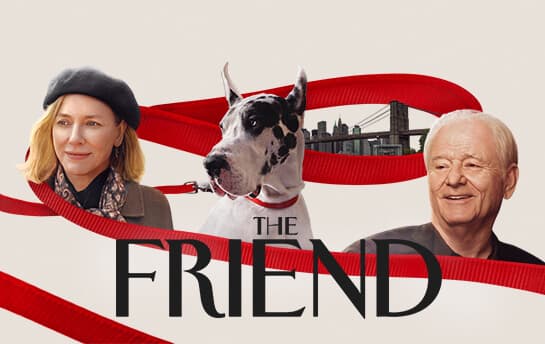 The Friend